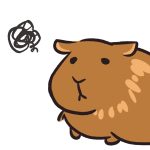 悩める日焼けさん